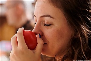 چای، توت‌، شکلات تلخ، سیب؛ خوراکی‌هایی برای افزایش طول عمر