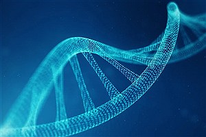 آغاز پروژه‌ای جنجالی برای ساخت DNA انسانی مصنوعی از صفر | «دوست داریم باور کنیم همه دانشمندان نیت خیر دارند»