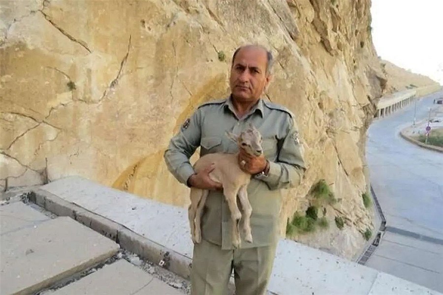 تصویر دو متهم پرونده «هدایت‌الله دیده‌بان» بازداشت شدند