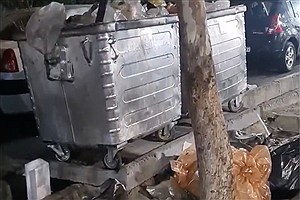 ببینید | انباشت زباله در خیابان‌های تهران، حتی روبروی شهرداری