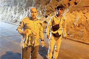 ببینید | محیط‌بان هدایت دیده‌بان، سه سال پیش نام قاتلش را در یک ویدئو ثبت کرد