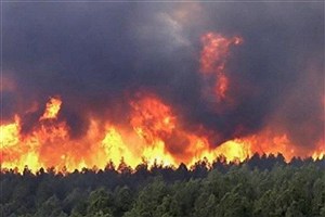 آتش‌سوزی‌های بی‌پایان در جنگل‌های هیرکانی در چالوس