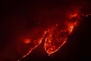 ادامه آتش‌سوزی جنگل‌های هیرکانی الیت در چالوس با وجود اعزام چند بالگرد و یک هواپیمای آب‌پاش