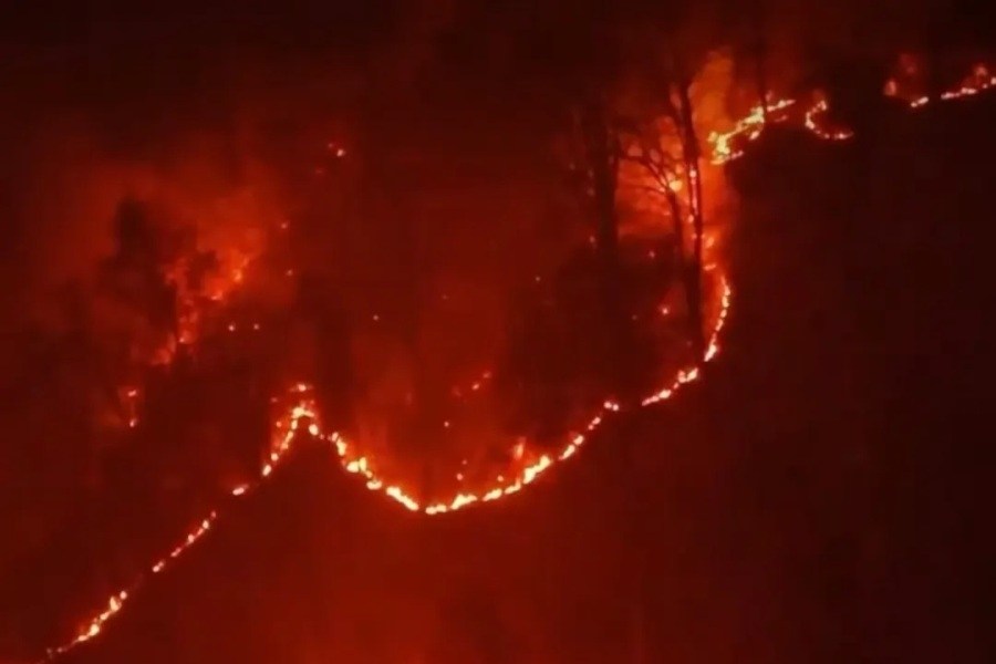 تصویر سازمان محیط زیست، مسئول آتش‌سوزی در جنگل‌ الیت چالوس