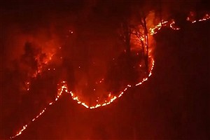 سازمان محیط زیست، مسئول آتش‌سوزی در جنگل‌ الیت چالوس