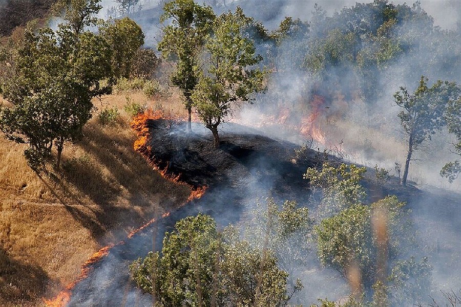 تصویر چرا الیت می‌سوزد؟