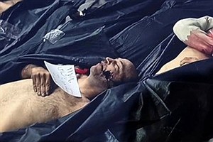 روایت جدید و تکان‌دهنده از کشتار جمهوری اسلامی در تهران؛ فقط ۸ هزار کشته در شب ۱۹ دی ۱۴۰۴/ الگوی کشتار؛ تک‌تیرانداز یا تیر خلاص