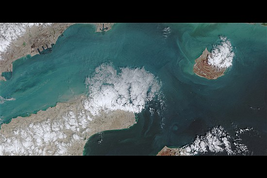 تایم‌لپسی از تردد کشتی‌ها در تنگه هرمز، پس از بازگشایی موقت/ رفت‌وآمد از سر گرفته شد اما بسیاری بازگشتند